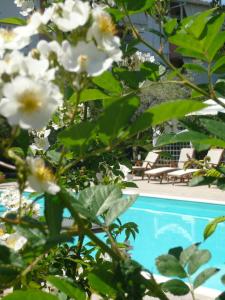 een boom met witte bloemen naast een zwembad bij Hotel Avra in Lygia