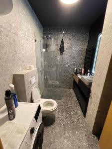 uma casa de banho com um chuveiro, um WC e um lavatório. em Lux superior apartment em Novi Sad