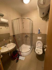 uma casa de banho com um chuveiro, um WC e um lavatório. em Lux superior apartment em Novi Sad