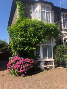 克羅伊登的住宿－Rectory Cottage，前面有粉红色花的房子