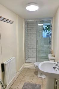 a bathroom with a shower and a toilet and a sink at Orchard Cottage in Corwen