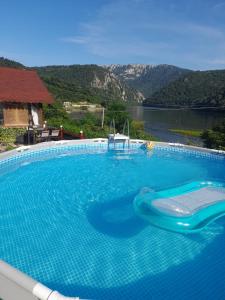 Ogradena的住宿－Clisura Dunarii Casutele Danca，享有湖景的大型蓝色游泳池