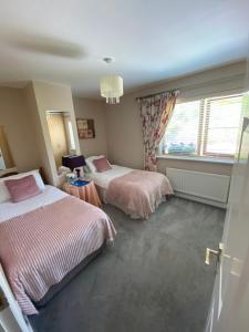 1 Schlafzimmer mit 2 Betten und einem Fenster in der Unterkunft Beach Close Lodge in Kinsale