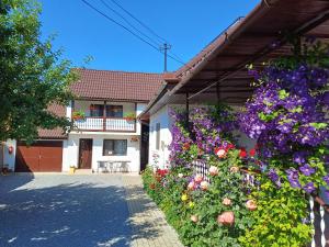 Zahrada ubytování Casa Șallai