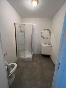uma casa de banho com um chuveiro, um WC e um lavatório. em Ciel de Paris em Paris