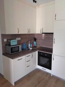 uma cozinha com armários brancos, um lavatório e um micro-ondas em Stan na dan Niksic em Nikšić