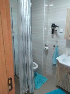 uma casa de banho com um chuveiro, um WC e um lavatório. em Stan na dan Niksic em Nikšić