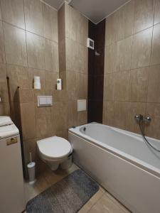 オラデアにあるApartament Confortのバスルーム(トイレ、バスタブ、シンク付)