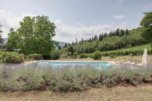 Piscina di Podere Vignola o nelle vicinanze