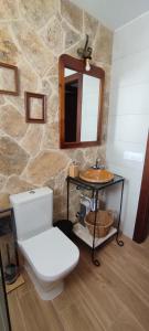 ein Badezimmer mit einem WC, einem Waschbecken und einem Spiegel in der Unterkunft El Cantón in Bogarra