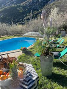 un tavolo con frutta e piante accanto a una piscina di Gran Parents a Oden