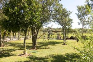 a park with trees and a playground in the background at Granja 17 de Noviembre in Atyrá