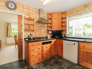 a kitchen with wooden cabinets and a white dishwasher at Deepdene in Dorchester