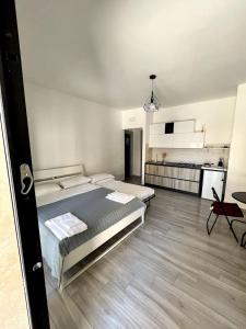 フィウミチーノにあるLUDA airport houseの広いベッドルーム(ベッド1台付)、キッチンが備わります。
