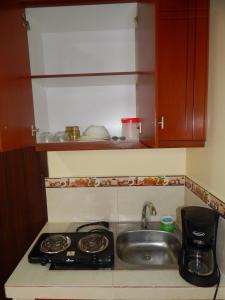 安巴托的住宿－Ideal para descansar，厨房柜台设有水槽和炉灶。