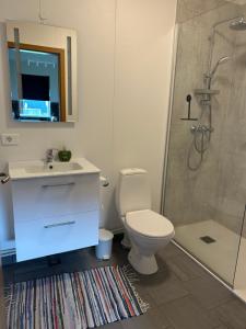 a bathroom with a toilet sink and a shower at Bjarkarholt Guesthouse in Bjarkarholt +41 photos