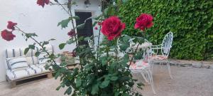 two chairs and a table with red roses at LOS SUEÑOS DE BUENDÍA in Buendía
