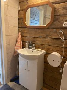 a bathroom with a sink and a mirror at Võhma Külamaja in Võhma