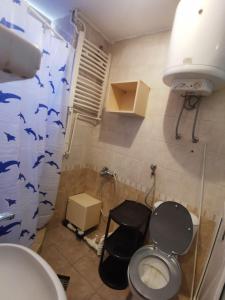 uma casa de banho com um WC e um lavatório em EXIT apartman em Novi Sad