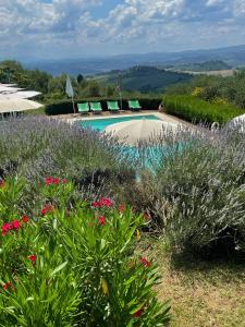 una piscina en un jardín con flores y plantas en Torre Di Ponzano, en Barberino di Val d'Elsa