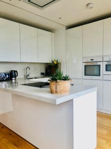 a kitchen with white cabinets and a plant on the counter at Luxury 2 bedroom apartment 20 min from central London in London