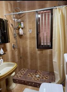 uma casa de banho com um chuveiro, um WC e um lavatório. em Villa Ada em Leporano