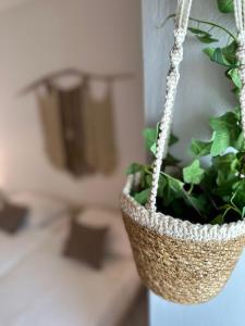 a hanging basket with a plant on a counter at Valente Rooms Kythira in Kythira