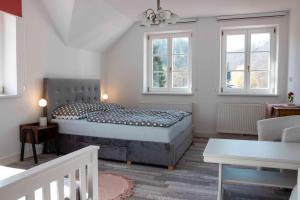 a bedroom with a bed and two windows at Vila Potštejn in Potštejn