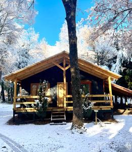 una cabaña de madera en la nieve con un árbol en Cabañas Bosque las Trancas en Las Trancas
