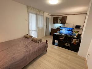 a bedroom with a bed and a flat screen tv at Smeštaj Nedić Karaula in Zlatibor