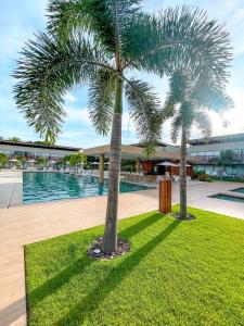 two palm trees in a lawn in front of a pool at Flat Completo Pipa no condominio do lle de Pipa in Pipa