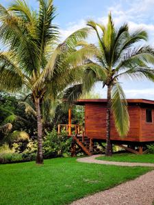 Deux palmiers devant une maison en bois dans l'établissement Yumas Riverfront Lodge, à San Ignacio
