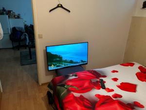 魯爾河畔米爾海姆的住宿－CHEAP ROOM IN A SHARED APARTMENT IN Mulheim, GERMANY，一间卧室配有电视和一张红色鲜花的床