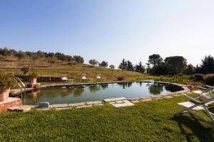a pond in a field with chairs in it at Incanto b&b in Pienza