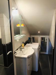 Un baño con lavabo y lavadora. en Pavlovi Apartments, en Samokov