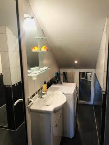 a bathroom with a sink and a washing machine at Pavlovi Apartments in Samokov