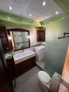 a bathroom with a sink and a toilet and a mirror at Villa Ioanna Oxylithos, Kymi in Oxílithos +29 photos