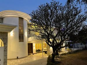 a tree in front of a white building at La casa Luminosa Hotel in Islamabad