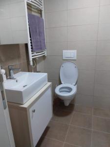 Koupelna v ubytování Green Apartman