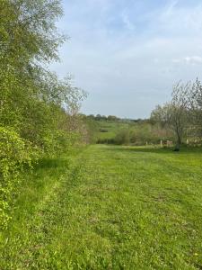 un campo de hierba verde con un árbol en la distancia en The Wren en Blackfordby