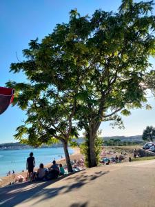 eine Gruppe von Menschen, die unter einem Baum am Strand sitzen in der Unterkunft APARTAMENTO BEATRIZ in Pobra do Caramiñal