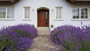 a house with purple flowers in front of it at Błękitny Domek in Wydminy