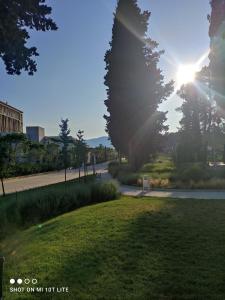 ein Park, durch dessen Bäume die Sonne scheint in der Unterkunft Apartment Mia Kumbor -Wi Fi in Herceg-Novi + 3 Fotos