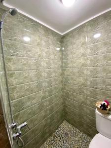 a bathroom with a shower and a toilet at Riad Dar IMANE in Marrakech