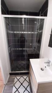 La salle de bains est pourvue d'une douche, d'un lavabo et d'un miroir. dans l'établissement Residence de l évèché 4, à Limoges