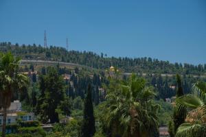 uma vista para uma colina com árvores e edifícios em פרלה צימרים em Jerusalém