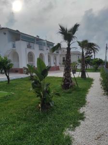 a building with two palm trees in the grass at Deluxe Romantic Suite in San Menaio