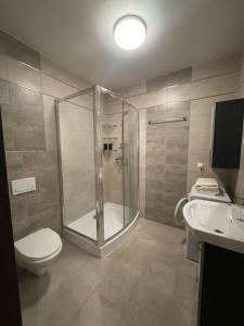 W łazience znajduje się prysznic, toaleta i umywalka. w obiekcie VIP Apartamenty Warszawska w mieście Rzeszów