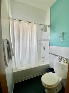 a bathroom with a white toilet and a shower at Royal Oak Inn in Toronto