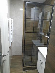 een glazen douche in een badkamer met een wastafel bij Holiday apartament 3 in Niš